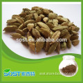 Best Selling Natural cardamom exporters guatemala